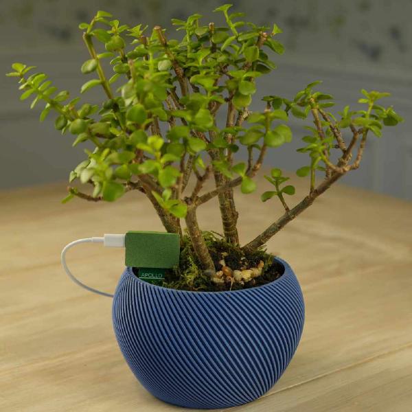 Apollo Plant Quality Sensor (PLT-1)