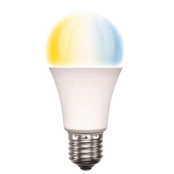 Brilliant Smart 20696/20874 WiFi A60 LED 8.5W 800LM CCT light